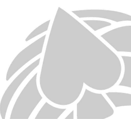 Fundo